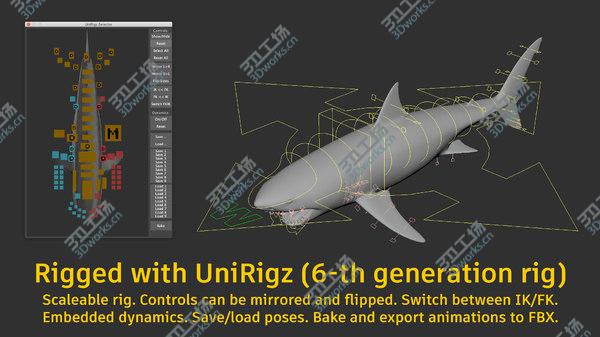 images/goods_img/20210312/Great White Shark Rigged 3D/2.jpg